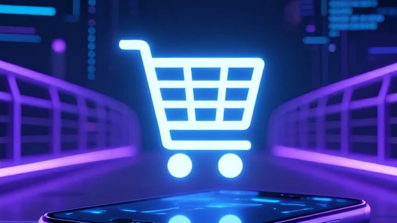 WordPress E-Ticaret İçin WooCommerce Tüketici Nasıl Çıkar?