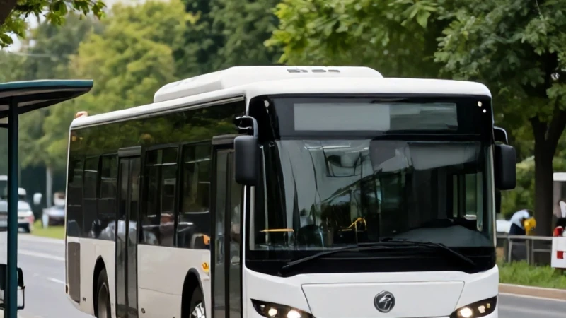 Ağva Merkezden Kadıköy Rıhtımına Nasıl Gidilir?
