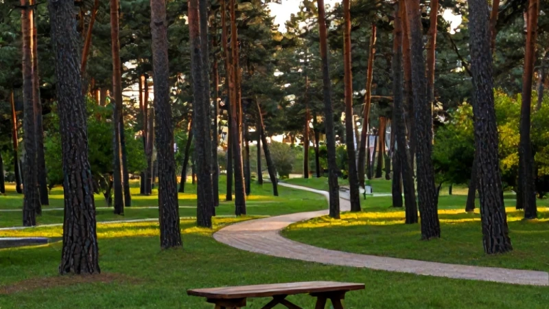 Amasya Gümüşhacıköy Çamlık Parkına Nasıl Gidilir?