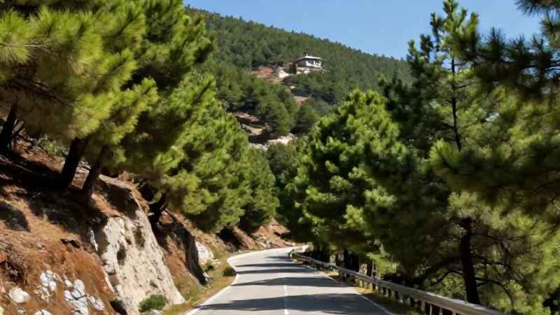 İzmir Selçuktan Meryem Ana Evi Kilisesine Nasıl Gidilir?